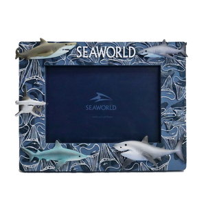 SeaWorld Shark Tooth 4x6 Frame