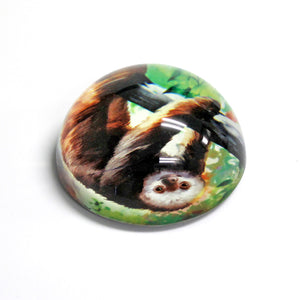 SeaWorld Painted Sloth Glass Paperweight