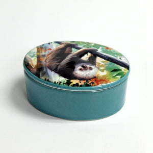 Painted Sloth Trinket Box