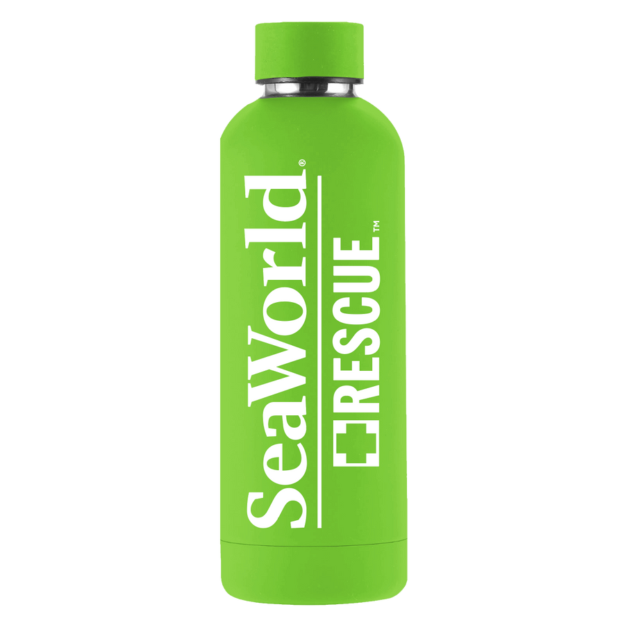 SeaWorld Rescue 17 Oz Lime Rubber Stainless Steel Bottle